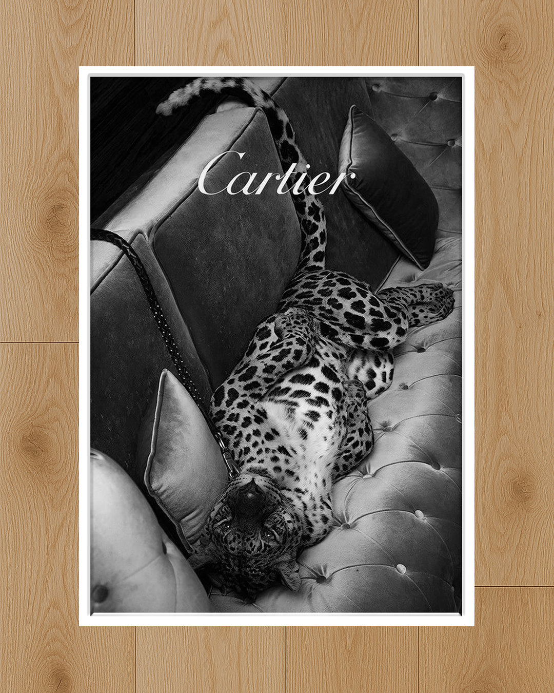 The Cartier Cat