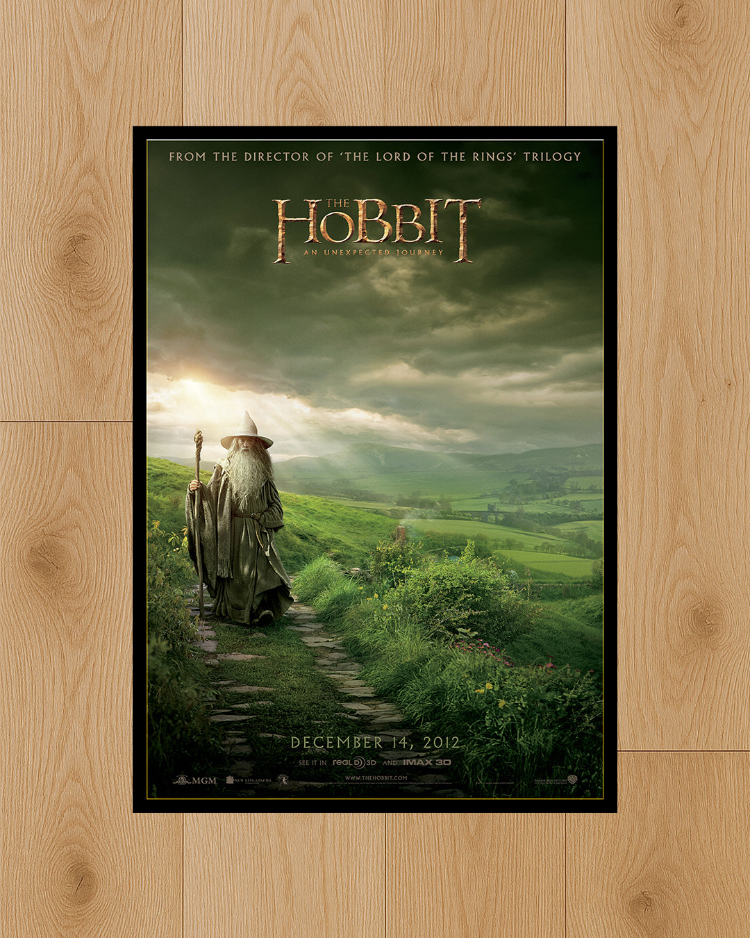 The Hobbit: An Unexpected Journey (2012)