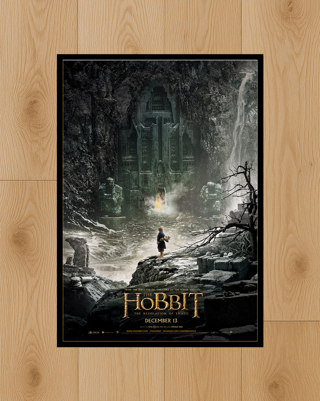 The Hobbit: The Desolation of Smaug (2013)