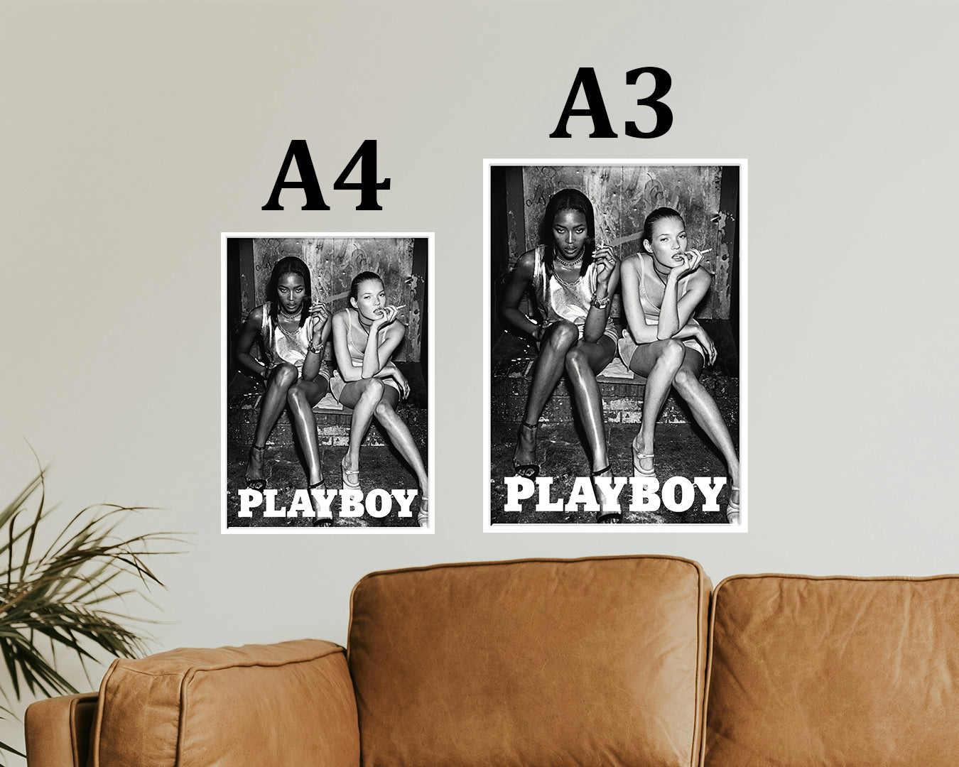 Playboy Series